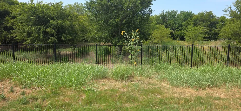 16629 White Fish Lane Justin, TX 76247