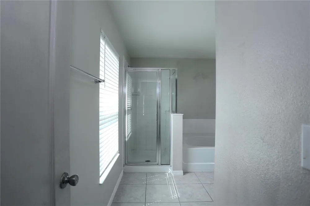 1141 AUGUSTUS DRIVE Davenport, FL 33896