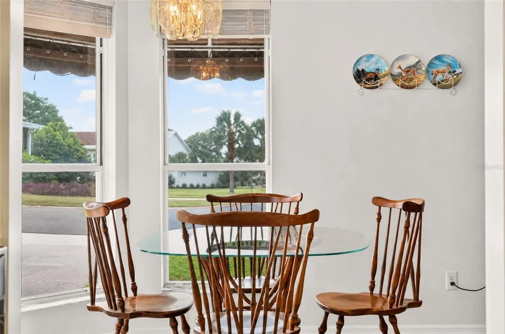 1207 PALMETTO DRIVE The Villages, FL 32159