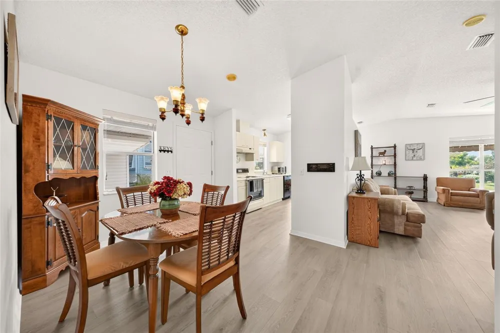 1207 PALMETTO DRIVE The Villages, FL 32159