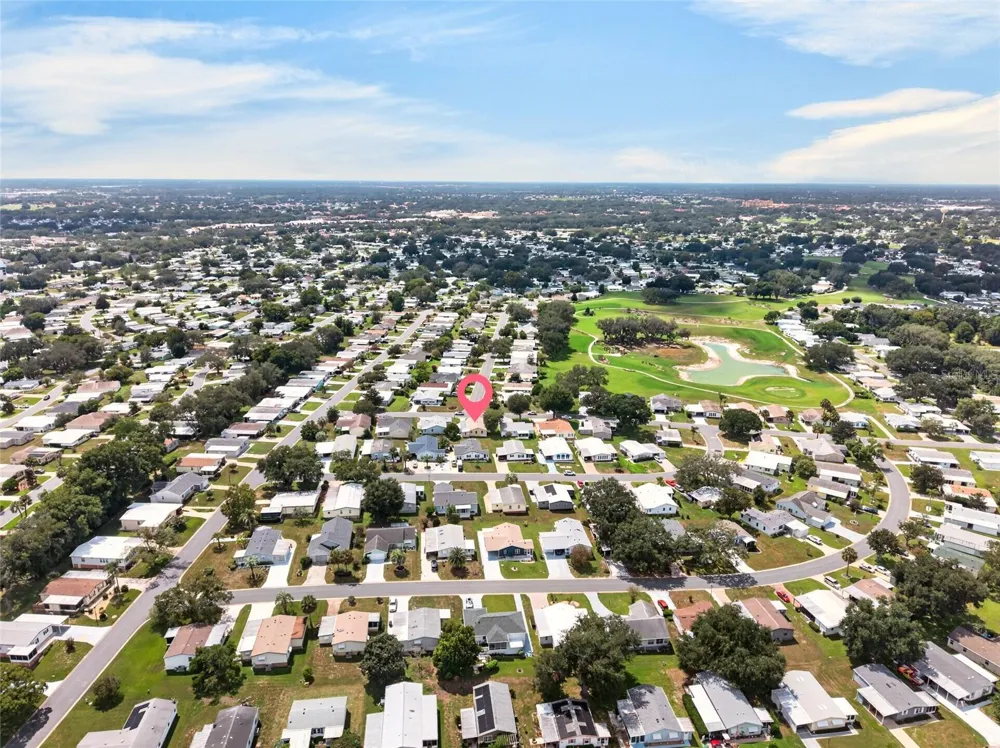 1207 PALMETTO DRIVE The Villages, FL 32159