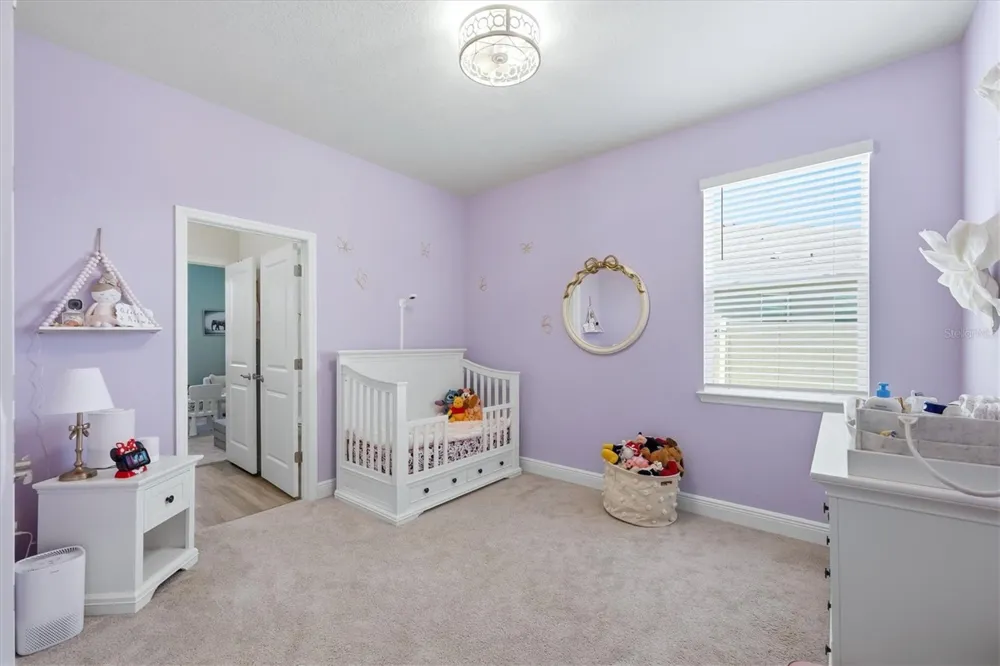 11914 MUSKEGON COURT Parrish, FL 34219