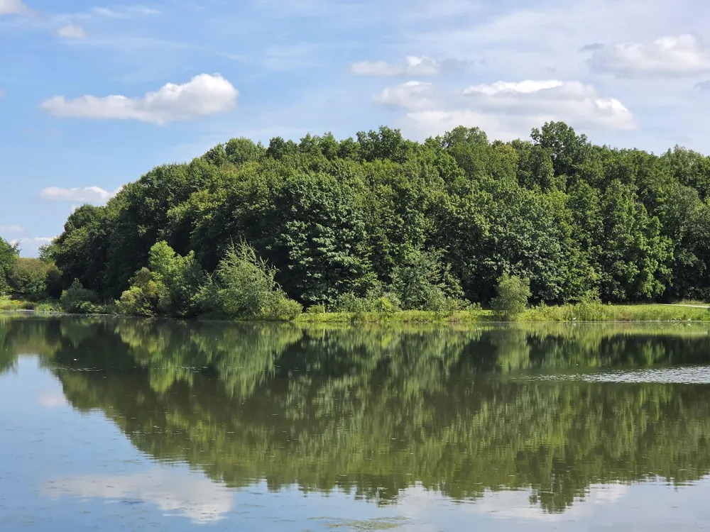 7538 Wood Brook Road Ann Arbor, MI 48103