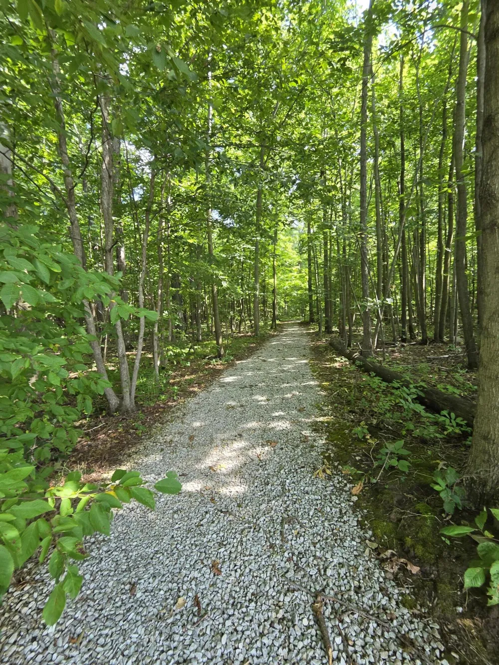 7538 Wood Brook Road Ann Arbor, MI 48103
