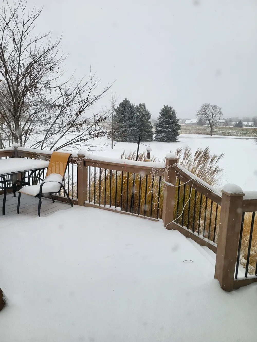 7538 Wood Brook Road Ann Arbor, MI 48103