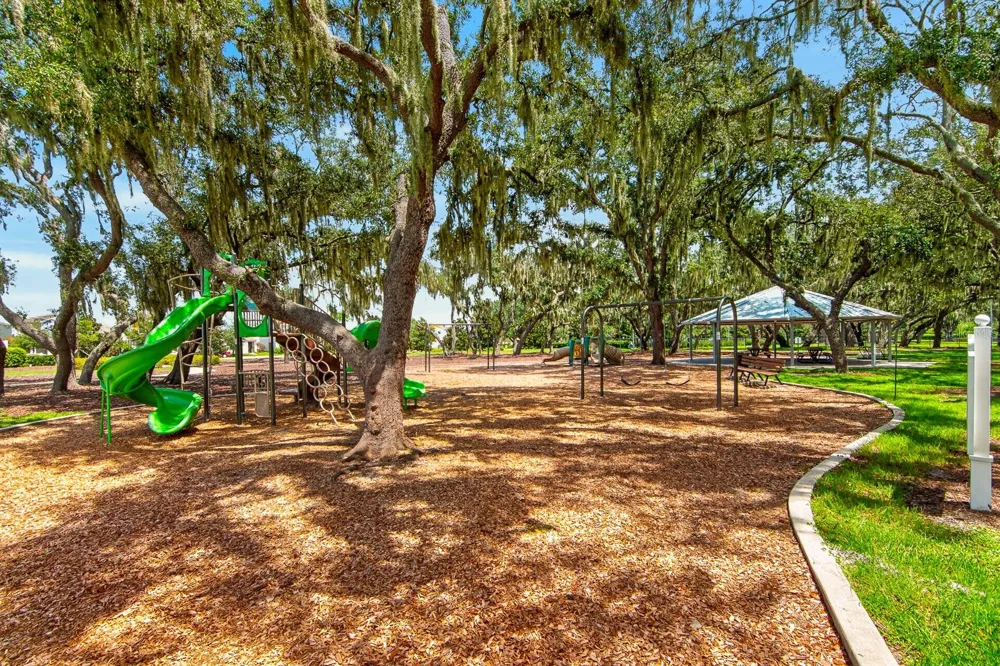 12826 WILDFLOWER MEADOW DRIVE Riverview, FL 33579