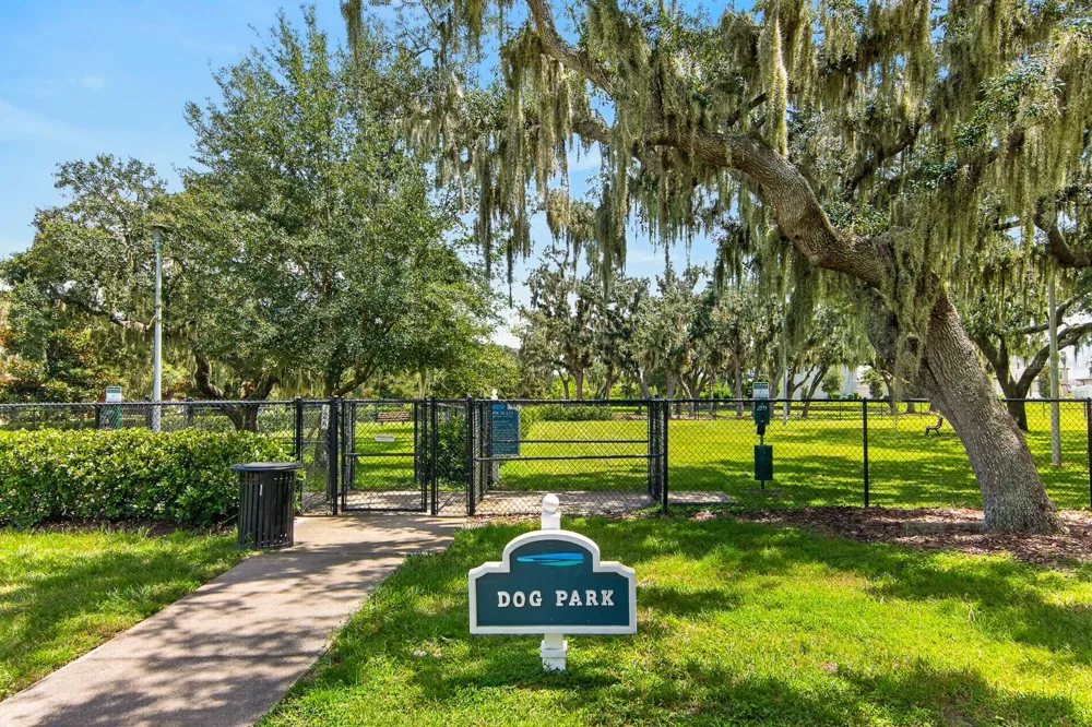 12826 WILDFLOWER MEADOW DRIVE Riverview, FL 33579