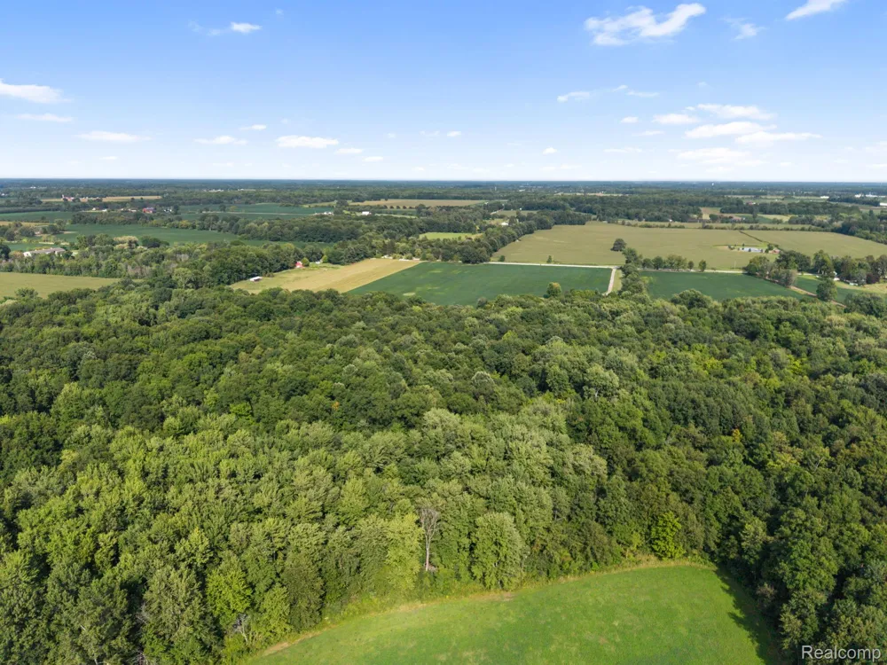76565 McFadden Road Armada Township, MI 48005