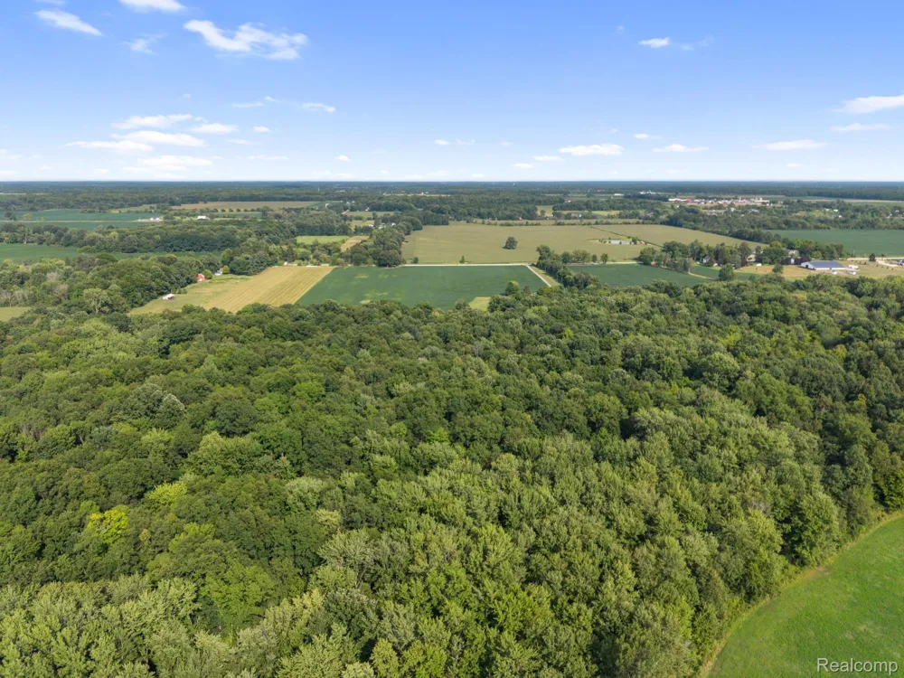 76565 McFadden Road Armada Township, MI 48005