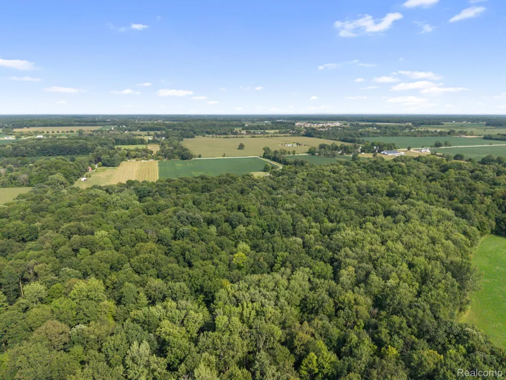 76565 McFadden Road Armada Township, MI 48005