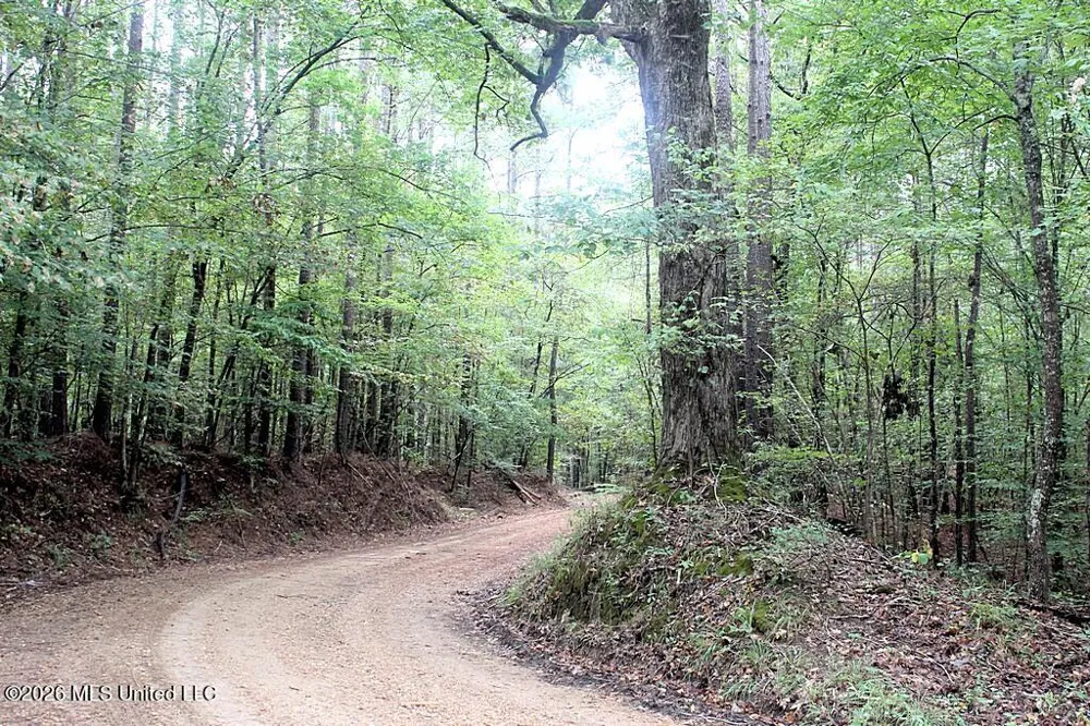 John Chambers Road Roxie, MS 39661