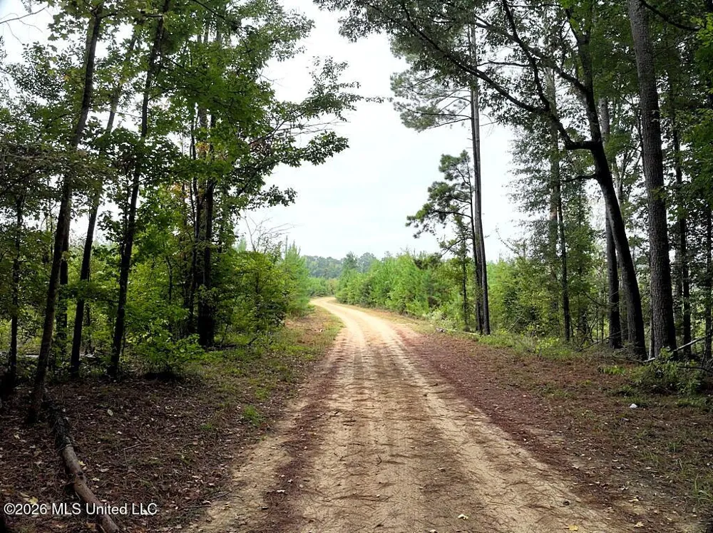 John Chambers Road Roxie, MS 39661