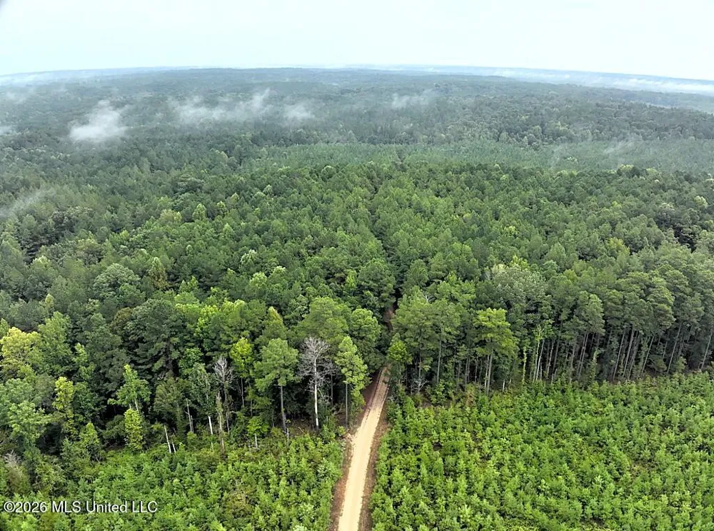 John Chambers Road Roxie, MS 39661