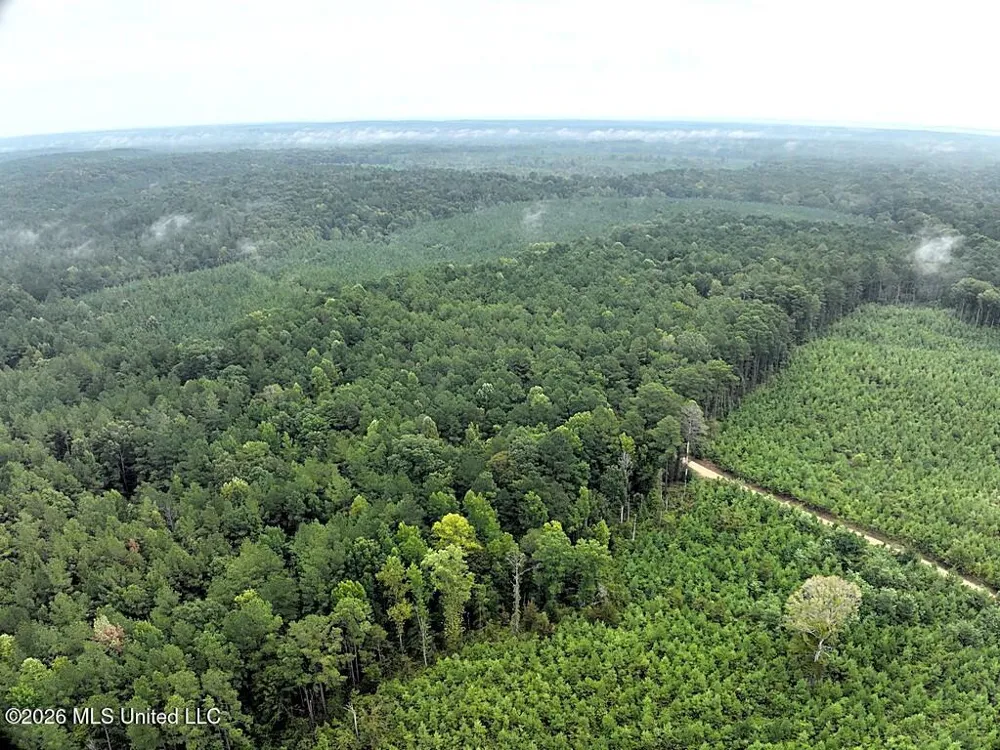 John Chambers Road Roxie, MS 39661
