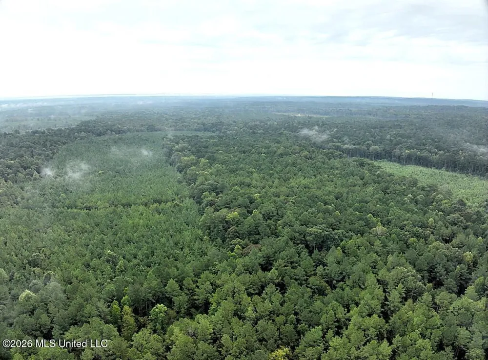 John Chambers Road Roxie, MS 39661