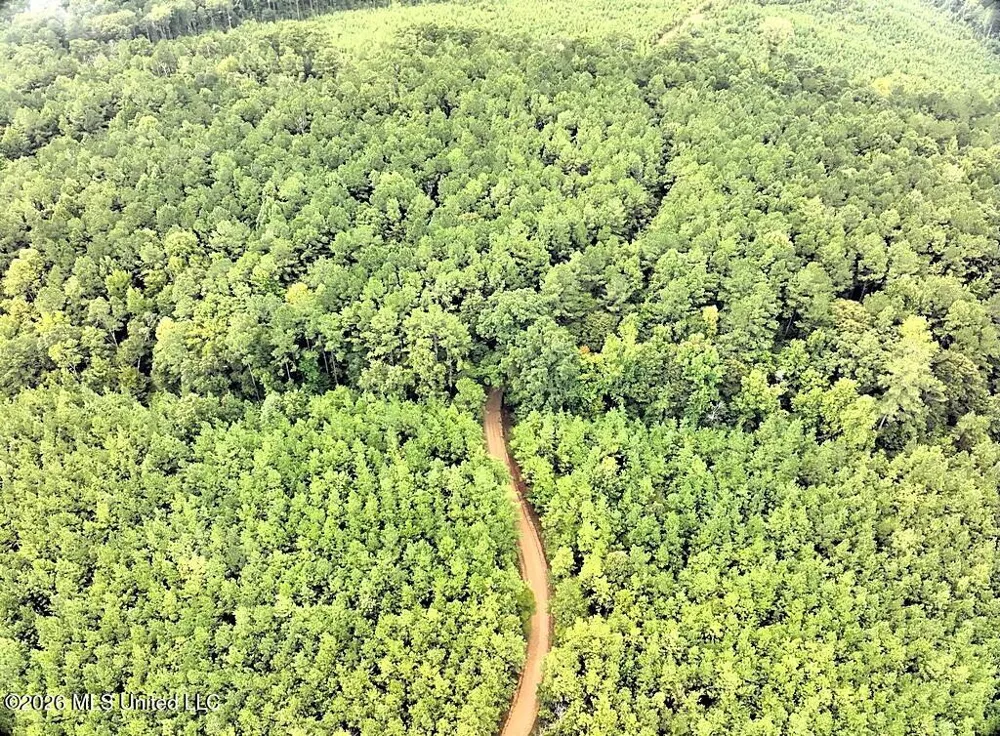 John Chambers Road Roxie, MS 39661
