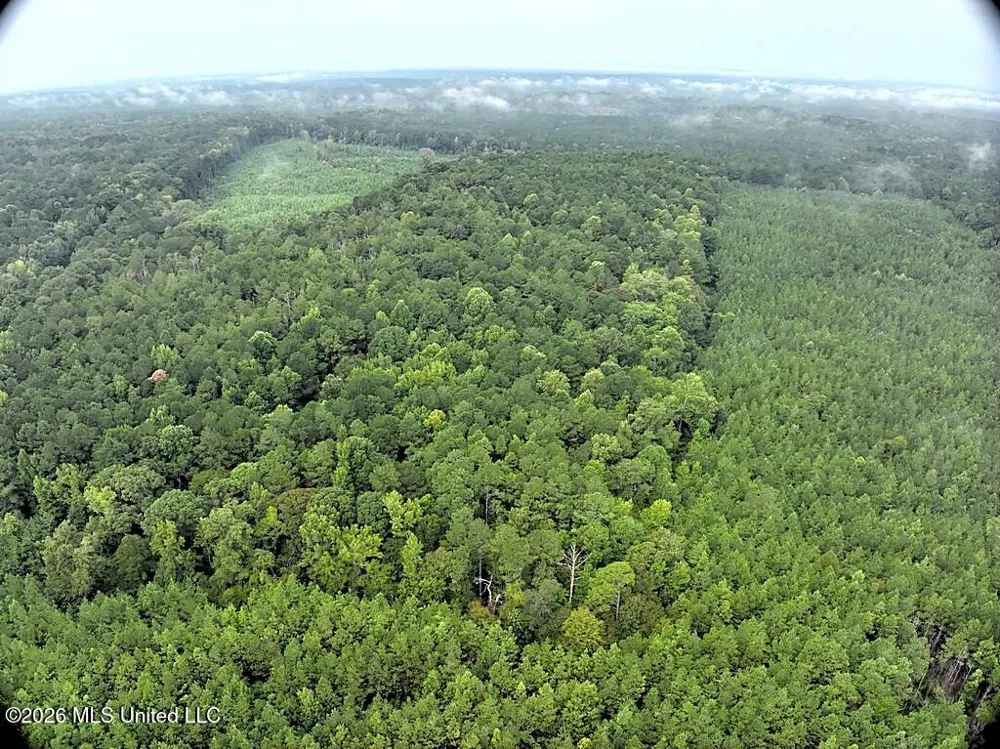 John Chambers Road Roxie, MS 39661