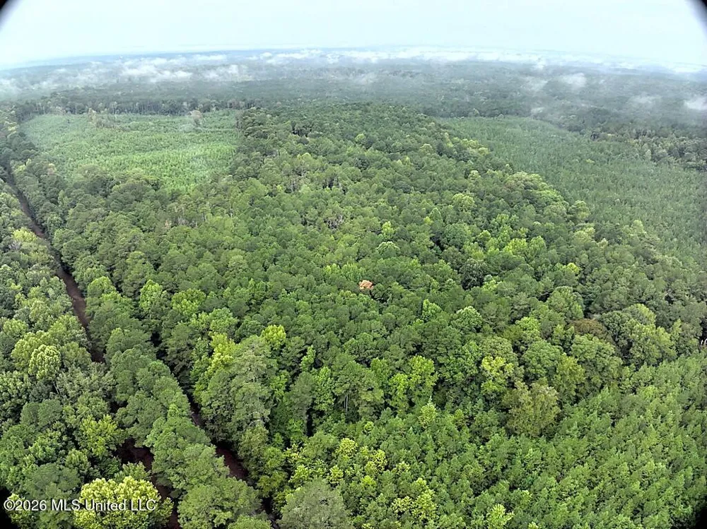 John Chambers Road Roxie, MS 39661