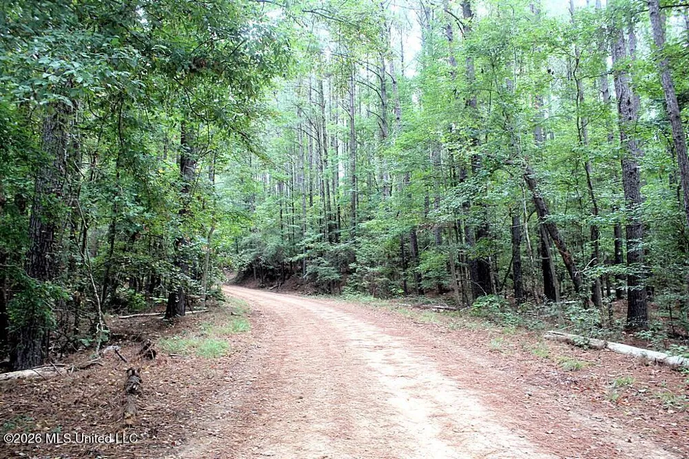 John Chambers Road Roxie, MS 39661