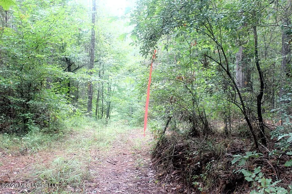 John Chambers Road Roxie, MS 39661
