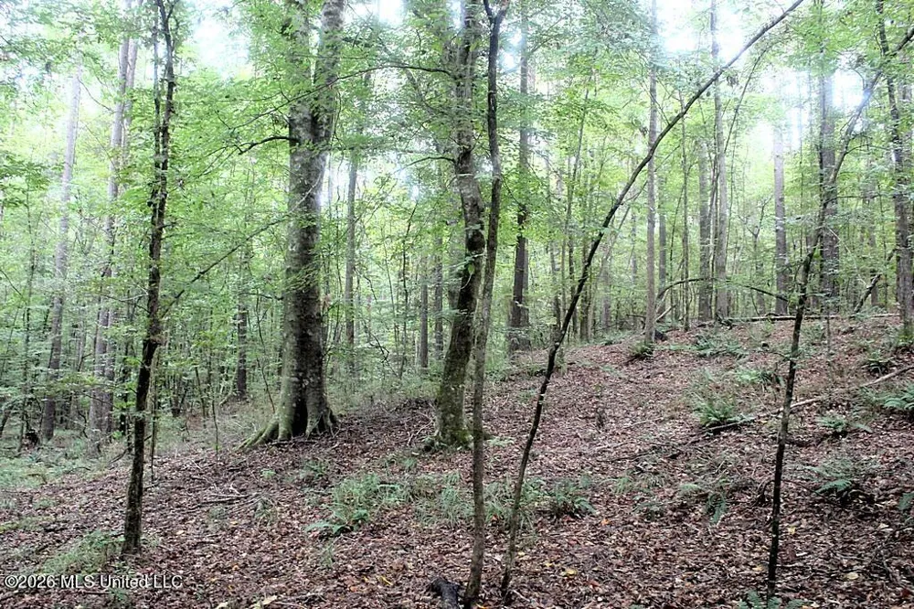 John Chambers Road Roxie, MS 39661