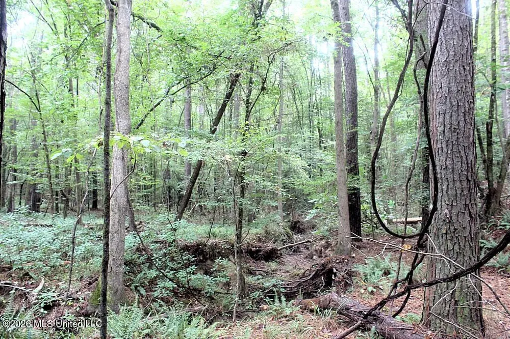 John Chambers Road Roxie, MS 39661