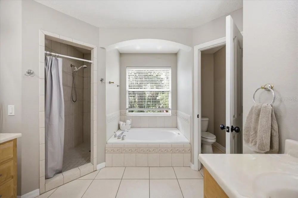 519 TEAGARDEN COURT Winter Garden, FL 34787