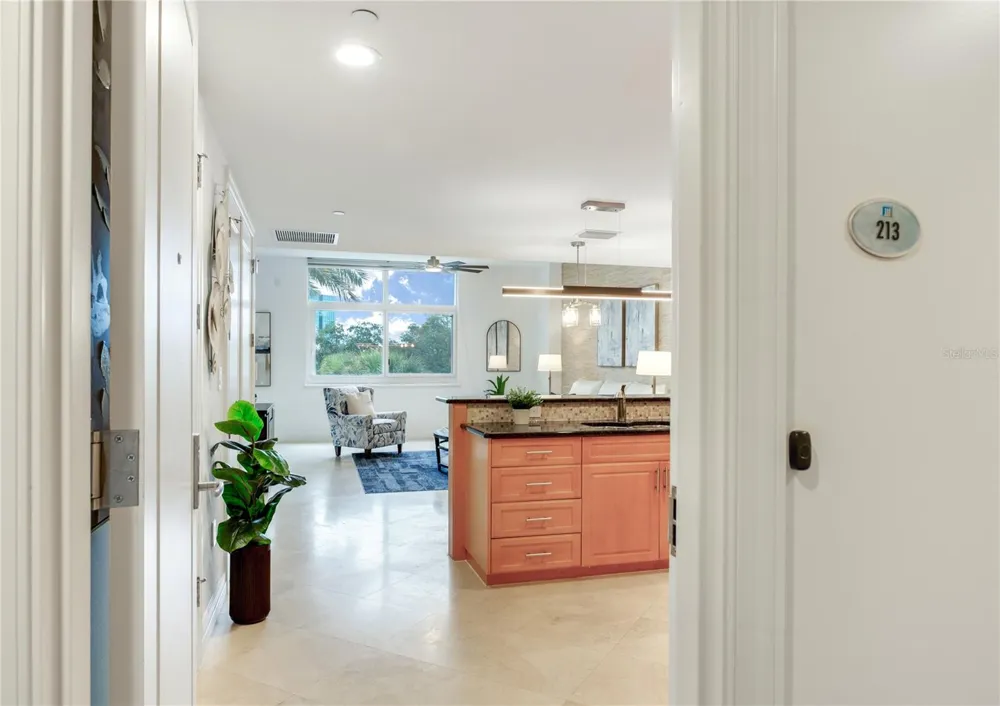 331 CLEVELAND STREET #213 Clearwater, FL 33755