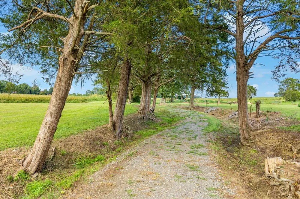 813 Ladd Springs Road SE Cleveland, TN 37323
