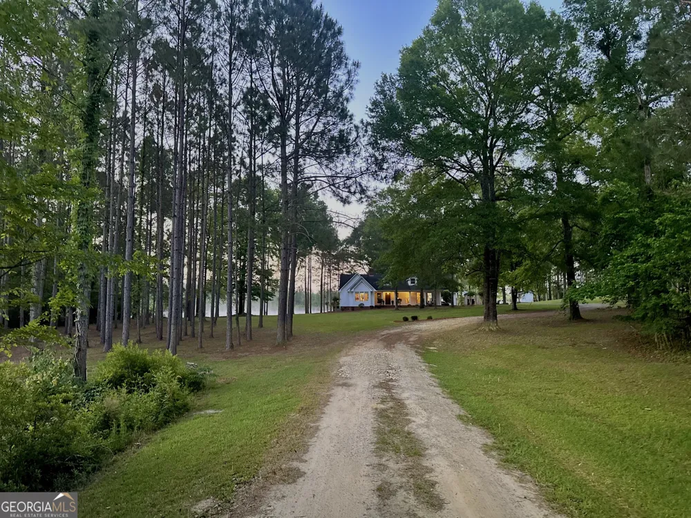 1525 Telfair Line RD Rhine, GA 31077