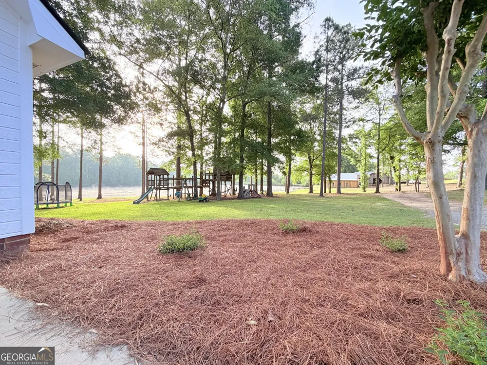 1525 Telfair Line RD Rhine, GA 31077