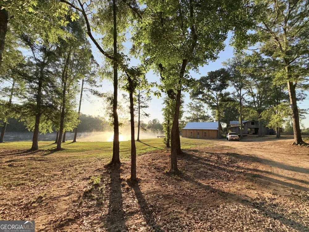 1525 Telfair Line RD Rhine, GA 31077