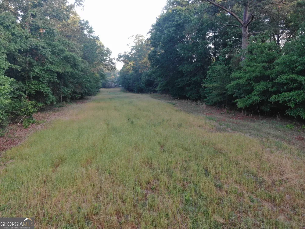 1525 Telfair Line RD Rhine, GA 31077