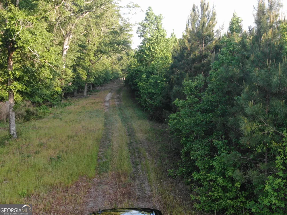 1525 Telfair Line RD Rhine, GA 31077