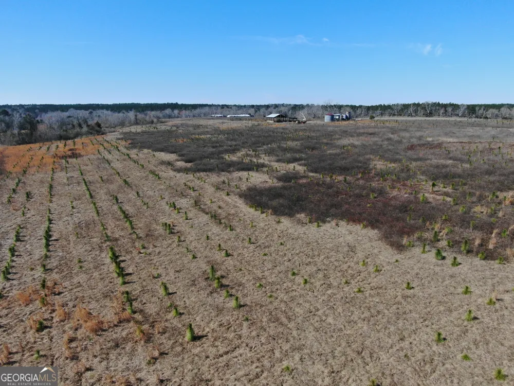0 AIRPORT RD Mcrae-Helena, GA 31037