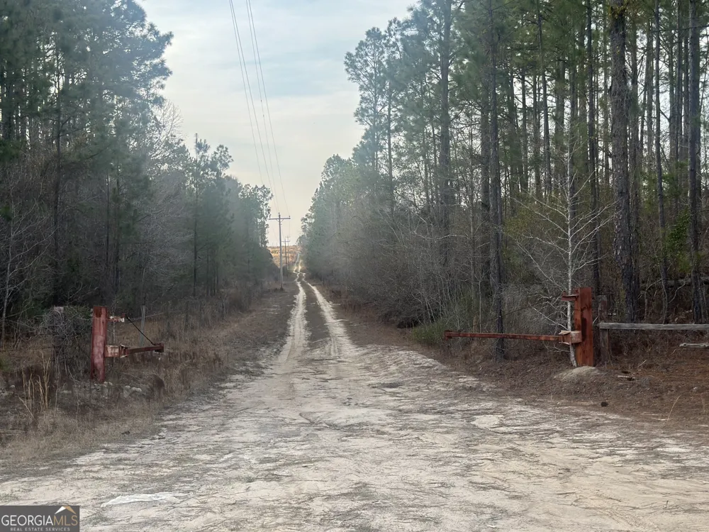 0 AIRPORT RD Mcrae-Helena, GA 31037