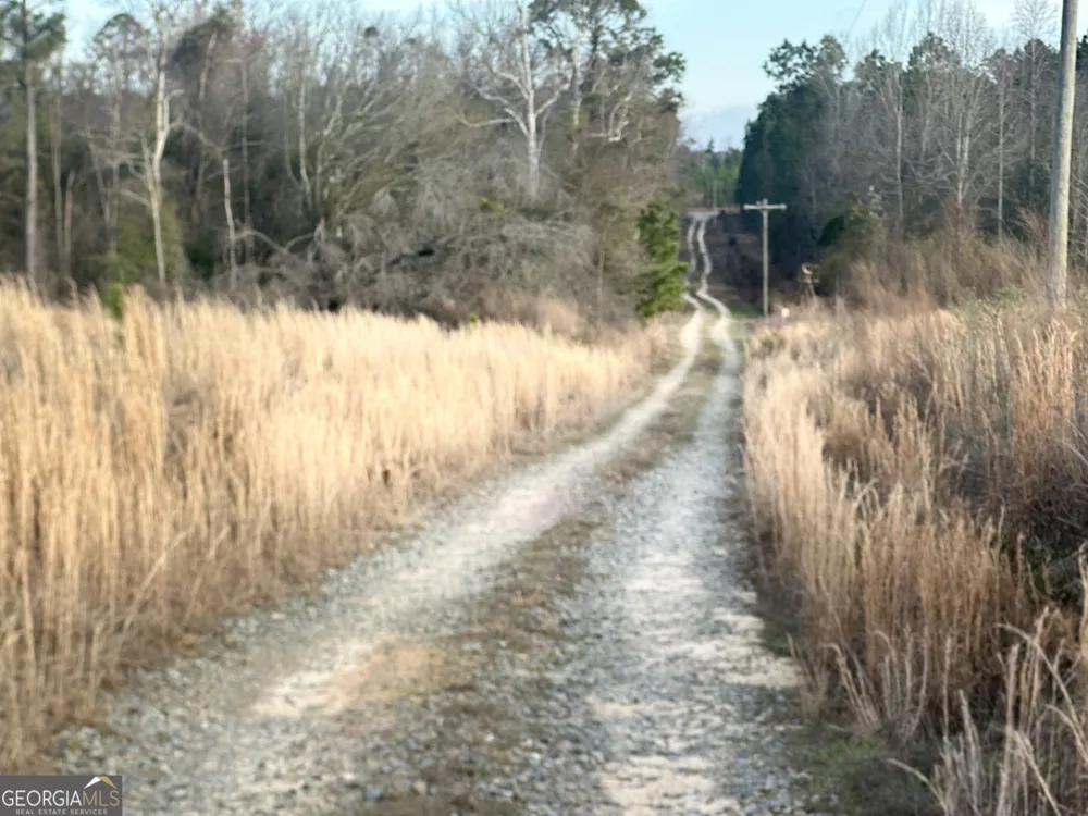 0 AIRPORT RD Mcrae-Helena, GA 31037
