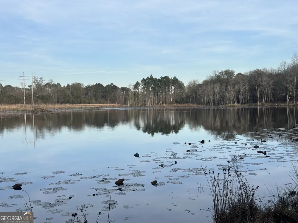 0 AIRPORT RD Mcrae-Helena, GA 31037