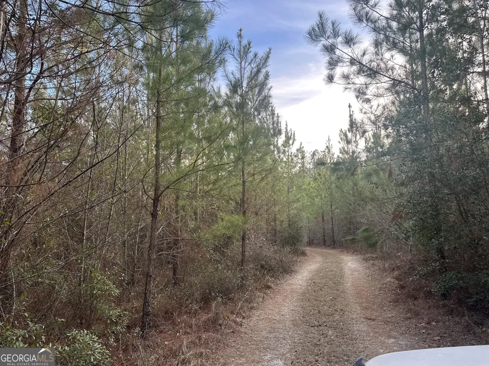 0 AIRPORT RD Mcrae-Helena, GA 31037