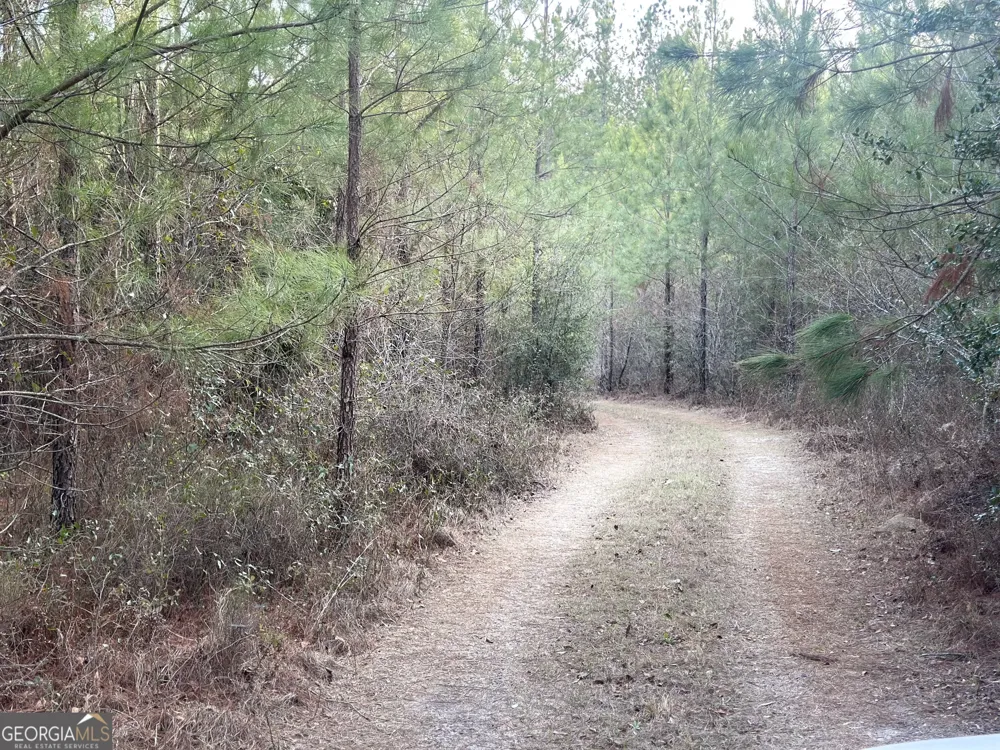 0 AIRPORT RD Mcrae-Helena, GA 31037