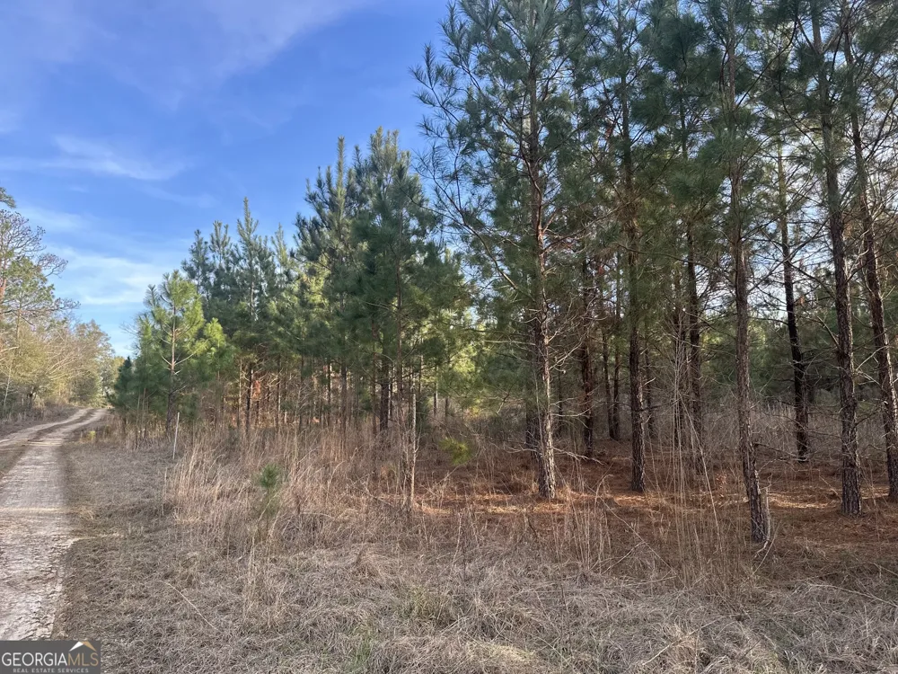 0 AIRPORT RD Mcrae-Helena, GA 31037