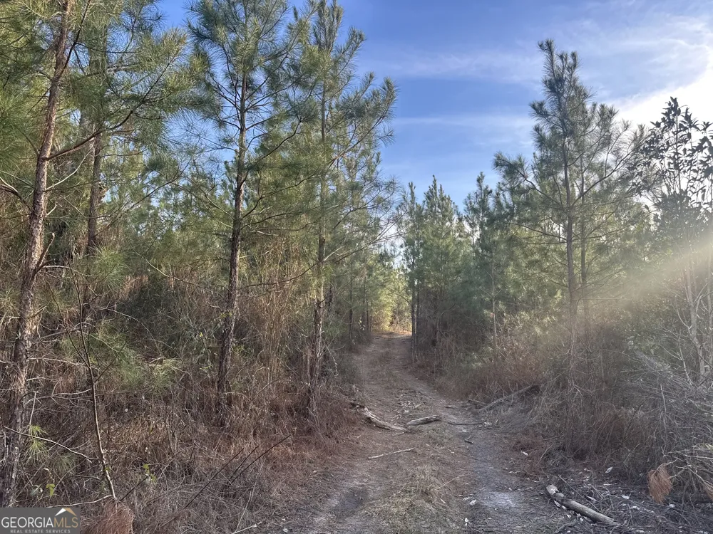 0 AIRPORT RD Mcrae-Helena, GA 31037