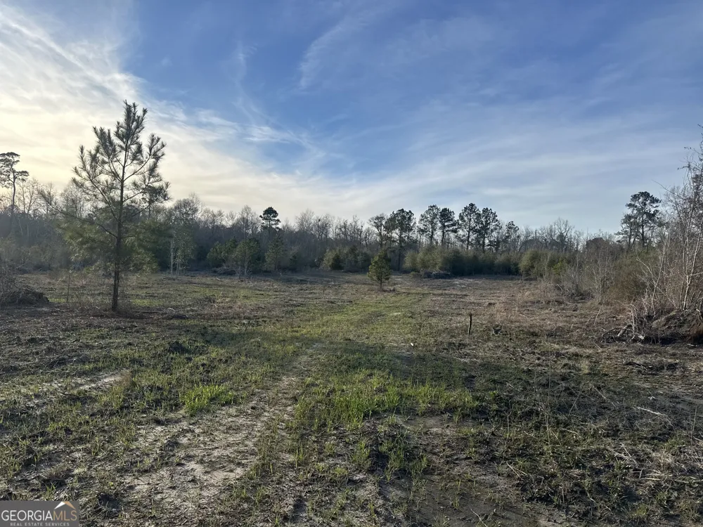 0 AIRPORT RD Mcrae-Helena, GA 31037