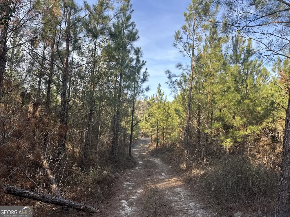 0 AIRPORT RD Mcrae-Helena, GA 31037