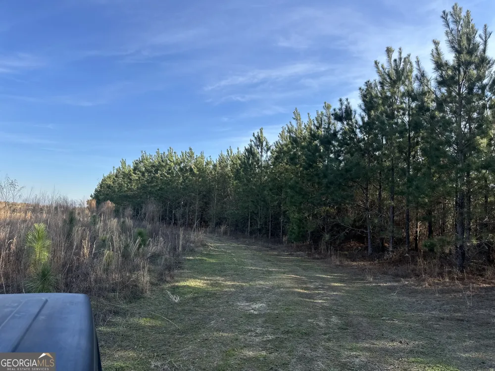 0 AIRPORT RD Mcrae-Helena, GA 31037