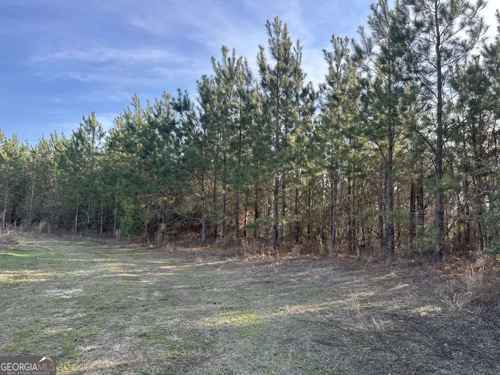 0 AIRPORT RD Mcrae-Helena, GA 31037