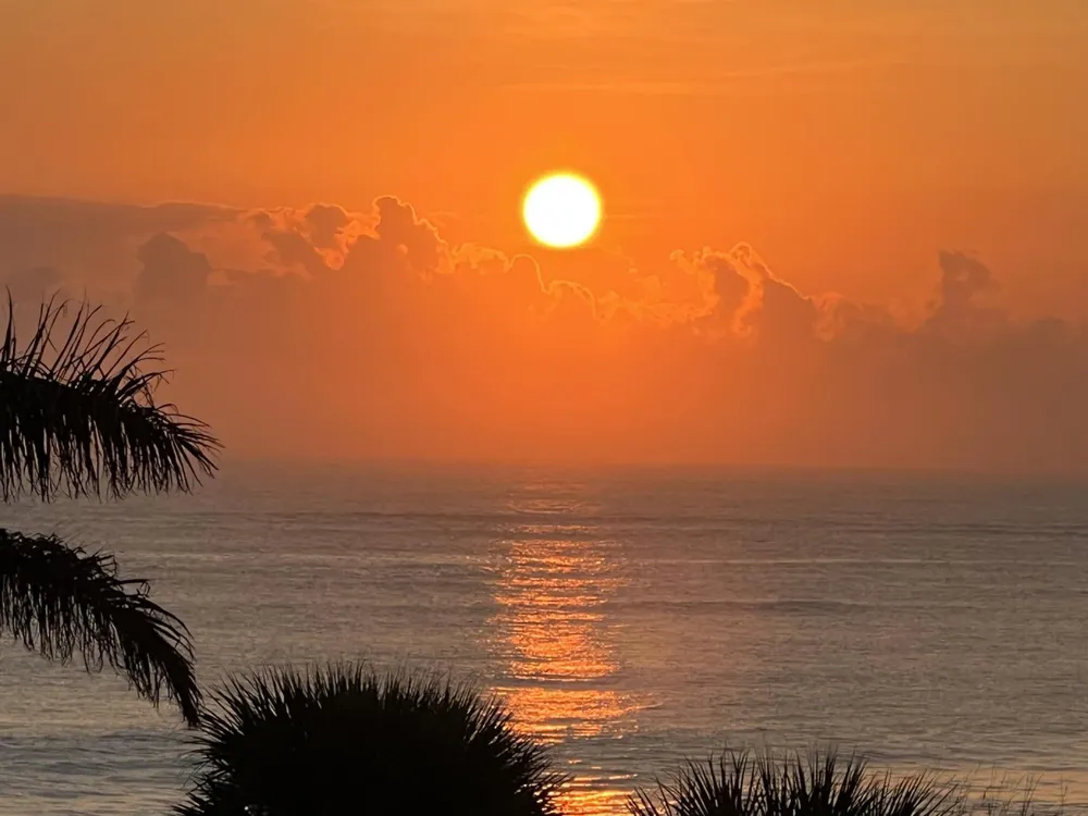 355 S OCEAN DRIVE #P-806 Fort Pierce, FL 34949