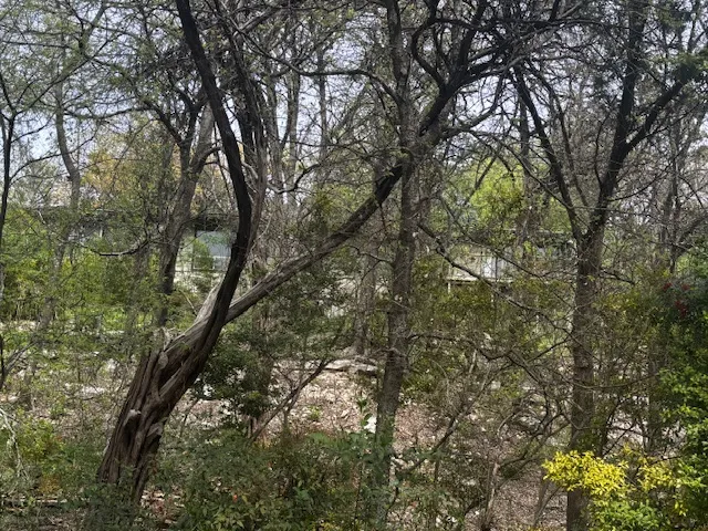 1204 Yaupon Valley Road West Lake Hills, TX 78746