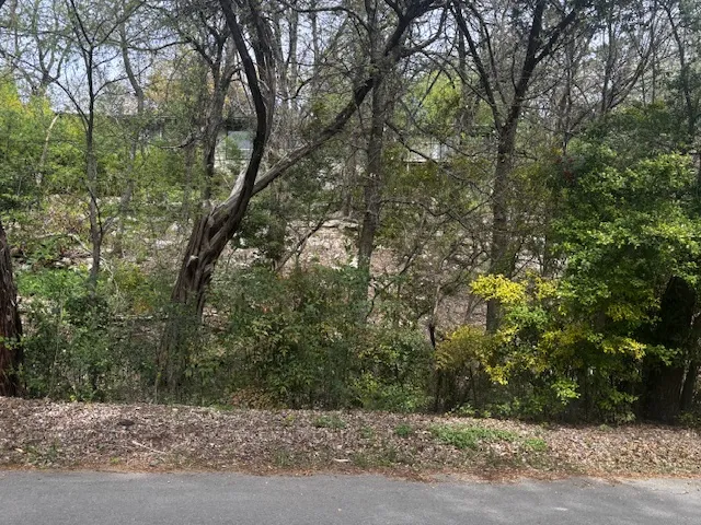1204 Yaupon Valley Road West Lake Hills, TX 78746