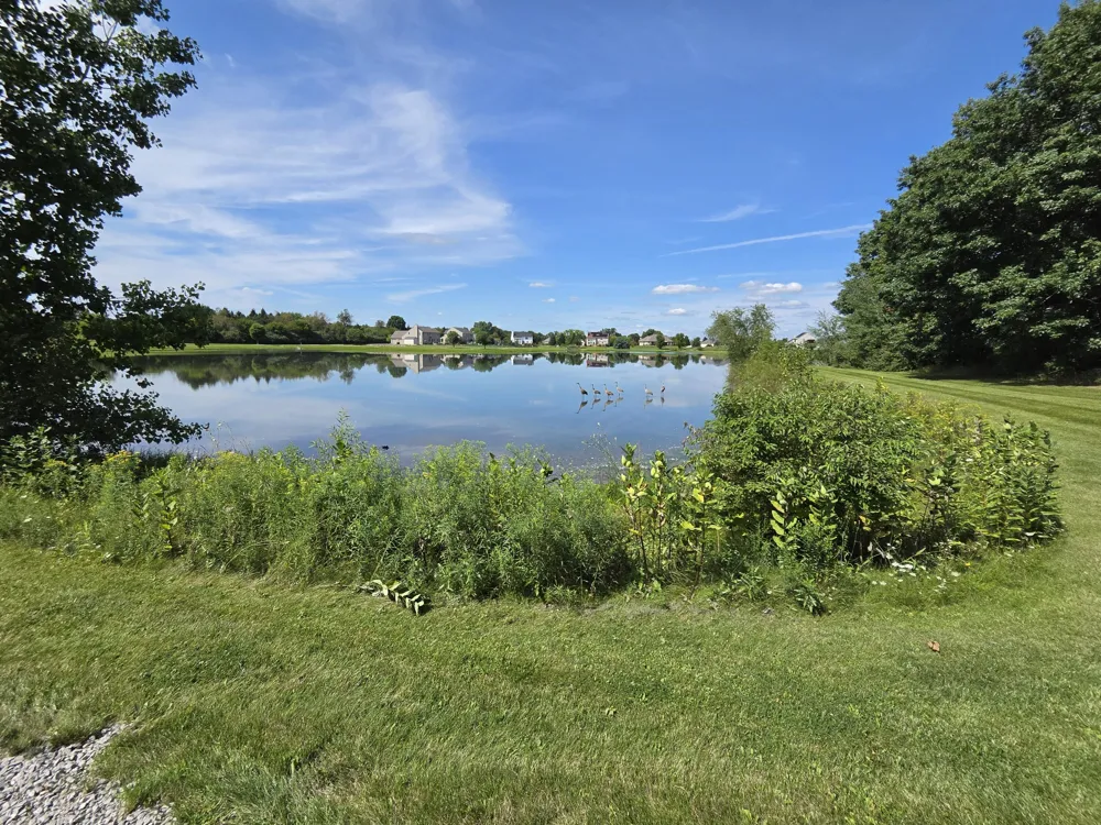 7538 Wood Brook Road Lodi Township, MI 48103